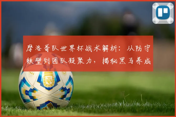 摩洛哥队世界杯战术解析：从防守铁壁到团队凝聚力，揭秘黑马养成之路